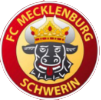 FC Mecklenburg Schwerin https://hauptstadt-pokal.de/wp-content/uploads/2023/09/FC-Mecklenburg-Schwerin-1.png
